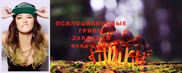 кокс Абаза