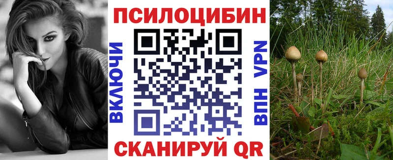 закладки  мориарти официальный сайт  Галлюциногенные грибы MAGIC MUSHROOMS  Братск 