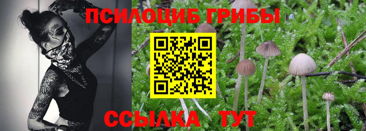 Галлюциногенные грибы MAGIC MUSHROOMS Братск